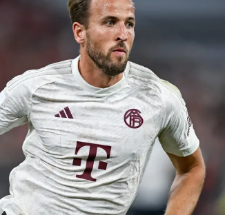 的霓虹残骸 的霓虹残骸